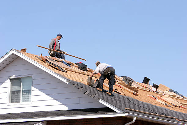 Best Skylight Installation and Repair  in Berwick, PA